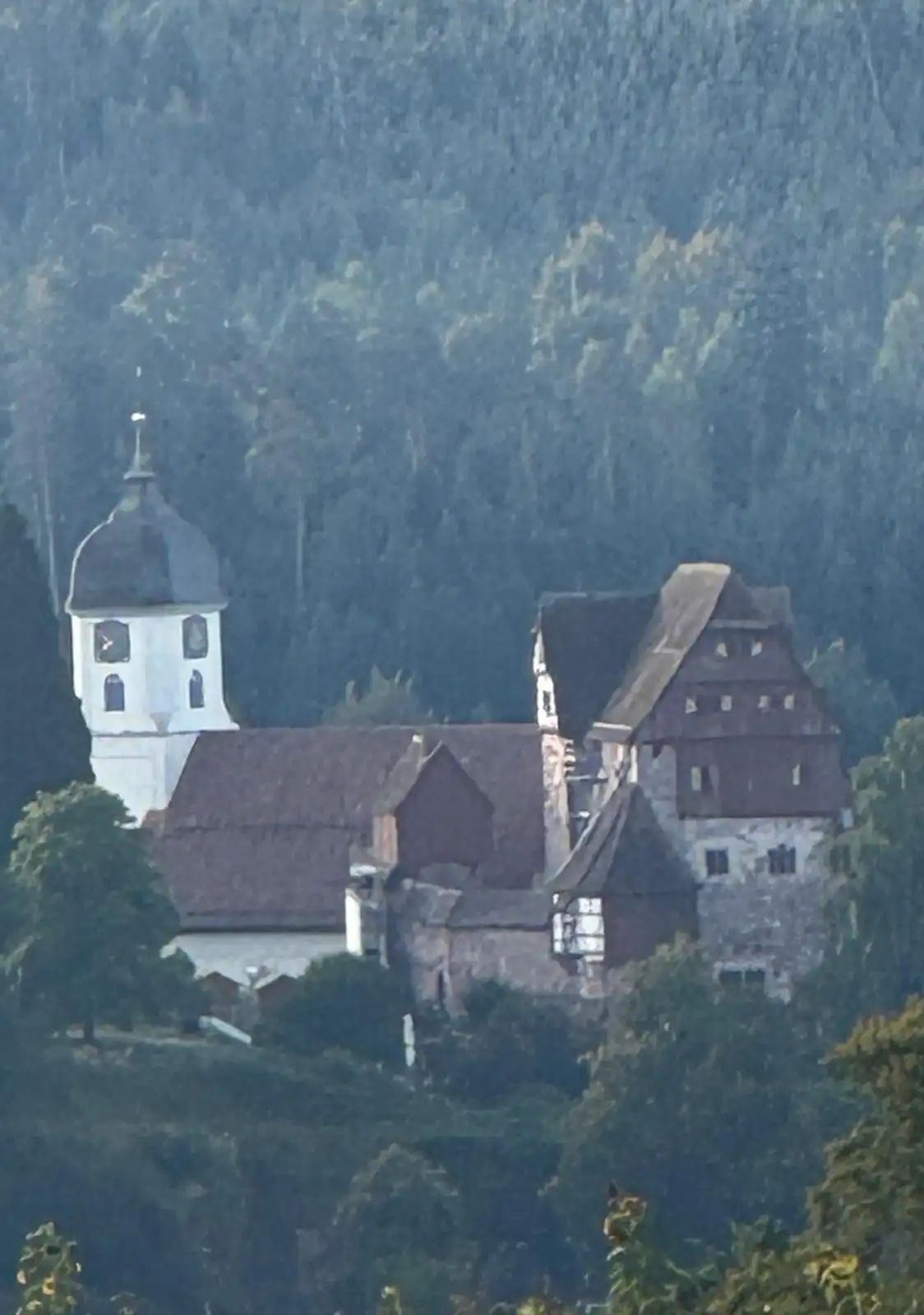 867a511d00ef48438da42c6fcf2b6609