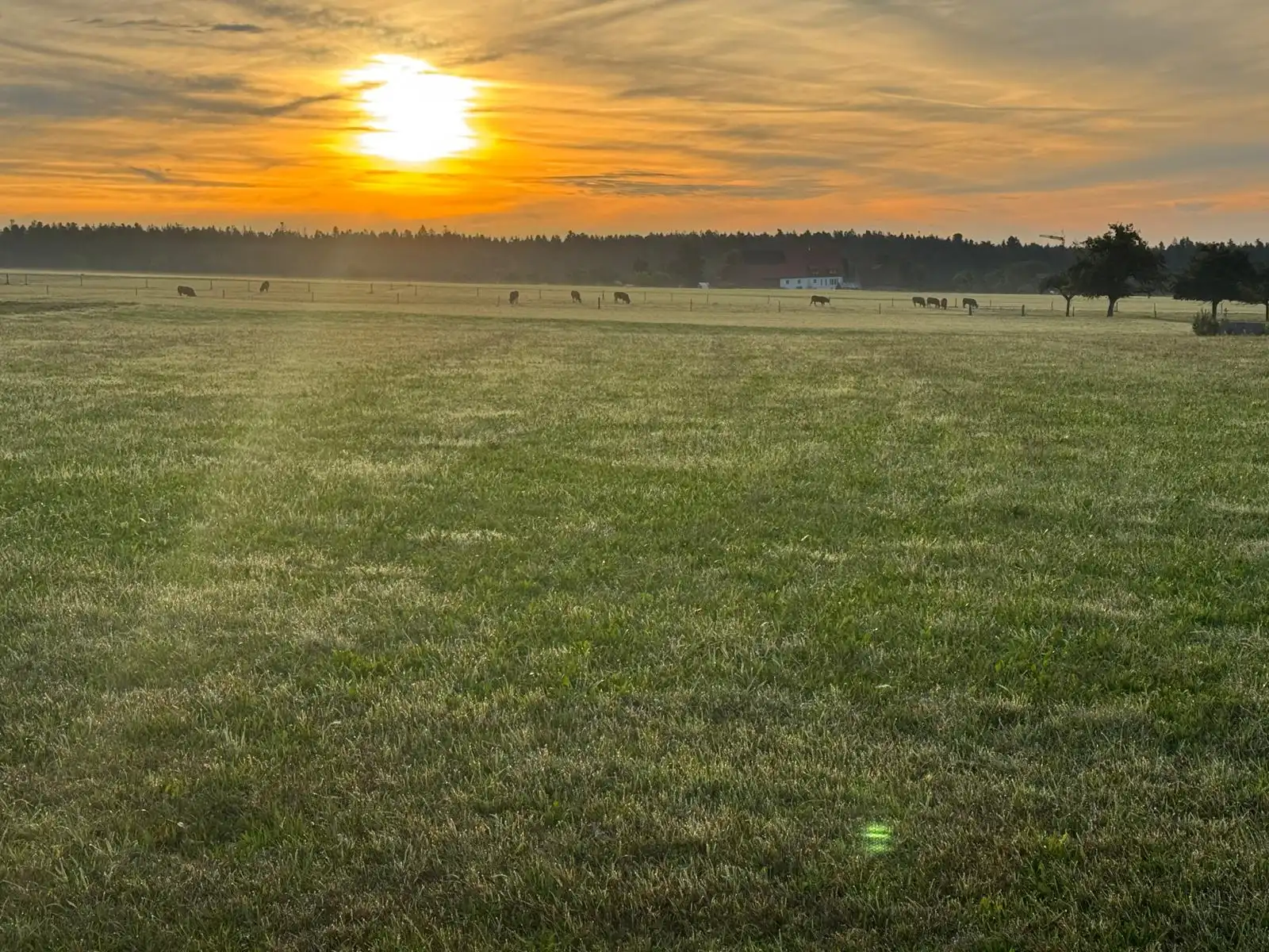 fbf63243c4a54f6ba54561875badf8a8