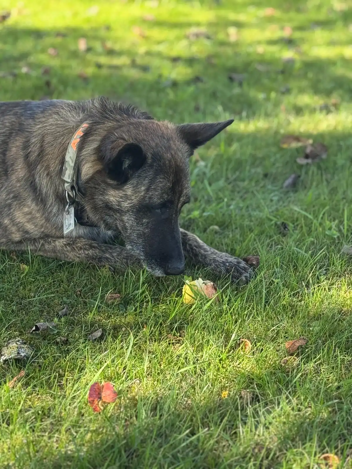 ff16bb60c76f495292fbed5247d005be