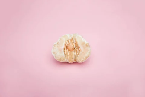 Fruits-013